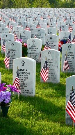 Fort Snelling National Cemetery - National cemetery in US