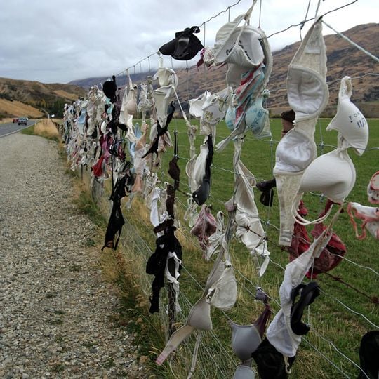 Cardrona Bra Fence