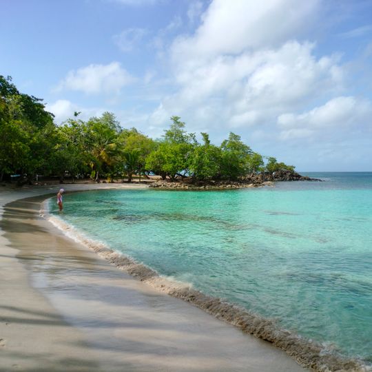 Anse Figuier