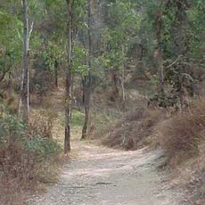 Cerro de la Estrella