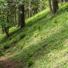 Muschelkalkhänge um Teichel und Großkochberg