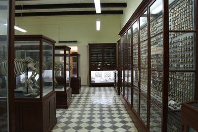 Intérieur 1
