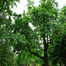 Sarah Helmick State Recreation Site