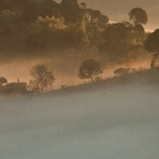 Serra da Bocaina National Park