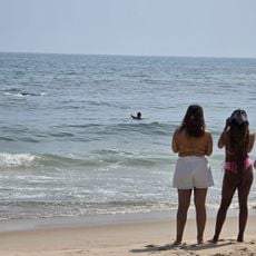 Amagansett Beach
