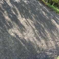 Södermanlands runinskrifter 220