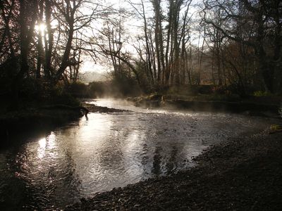 Immagine alternativa