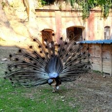Basse Cour du Fort Kléber
