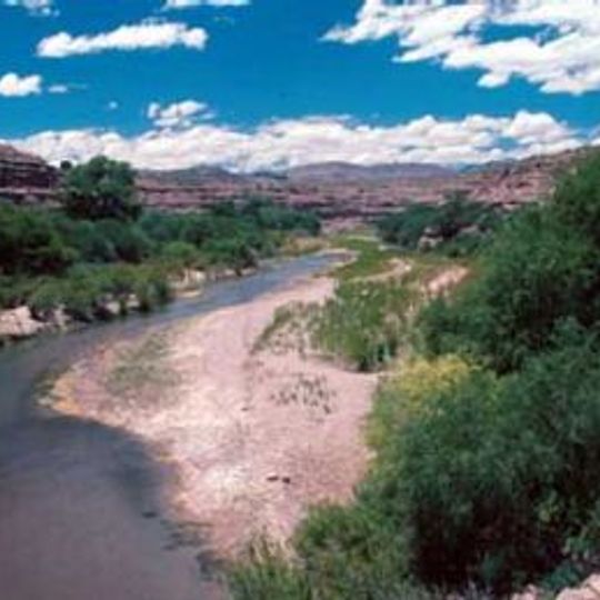 Gila Box Riparian National Conservation Area