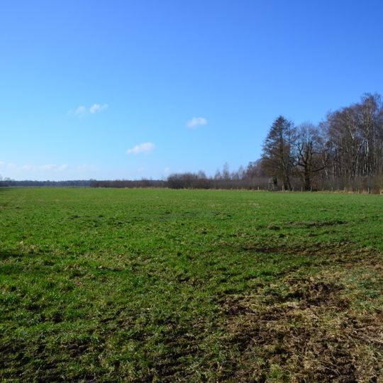 Gagelstrauchbestand bei Vorhop