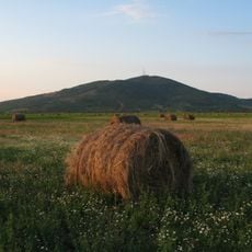 Kopasz Hill, Tokaj