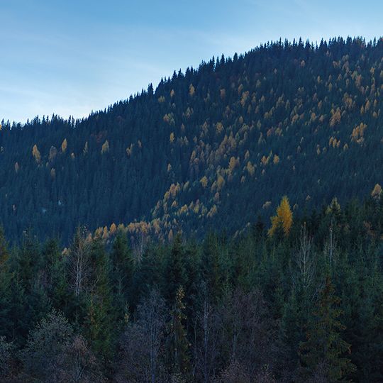 Molochnobratskyi Nature Reserve