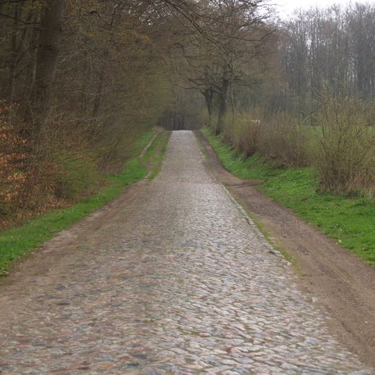 Pflasterstraße durch die Hahnheide