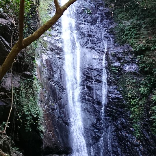 Dajin Waterfall