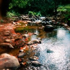 Khun Nan National Park