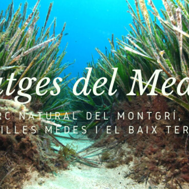 Islas Medas