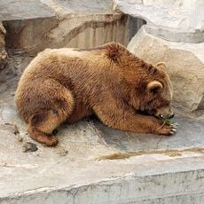 Zoo Belvédère