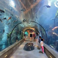 Oregon Coast Aquarium