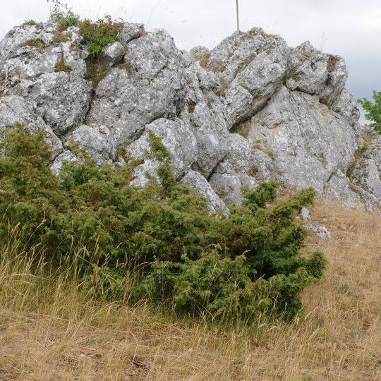 Schutz von Landschaftsteilen im Bereich der Stadt Harburg und der Gemeinde Großsorheim