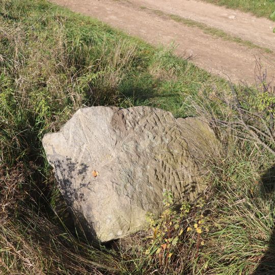 Kříž na východním okraji Bačic