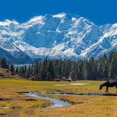 Nanga Parbat
