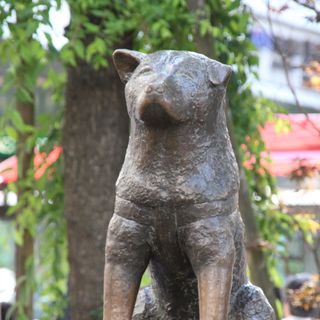 Statue of Hachikō