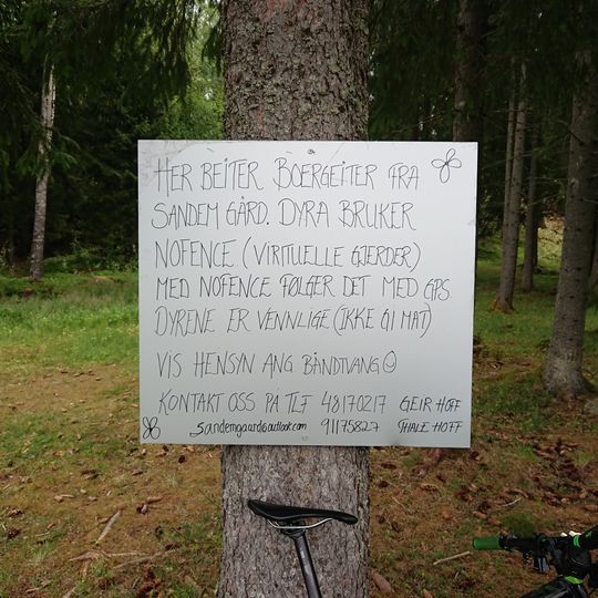 Her beiter boergeiter fra Sandem gård.