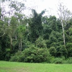 Cottan-Bimbang National Park