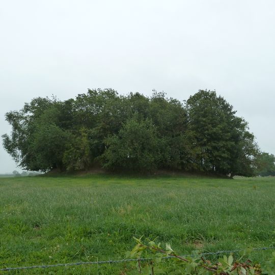 Tumulus van Oleye