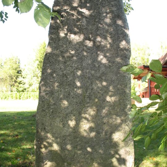 Upplands runinskrifter 668