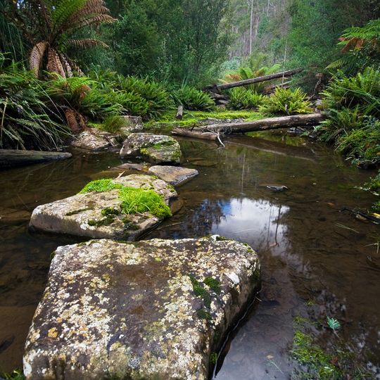 Sandspit River, Wielangta Forest