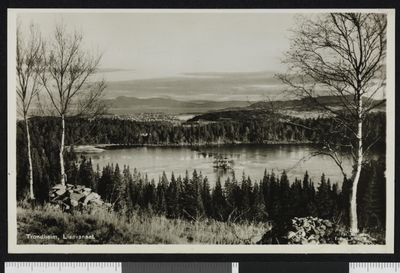 Immagine alternativa