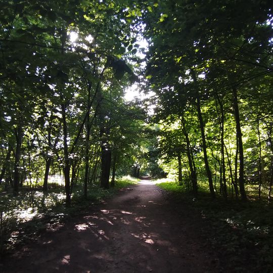 Тополёвая аллея