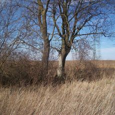 Kříž u polní cesty jižně od Střelic