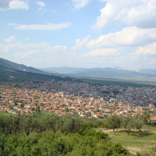 Distretto di Kırkağaç