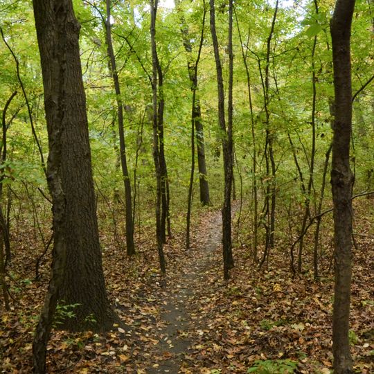 Black Oak Heritage Park