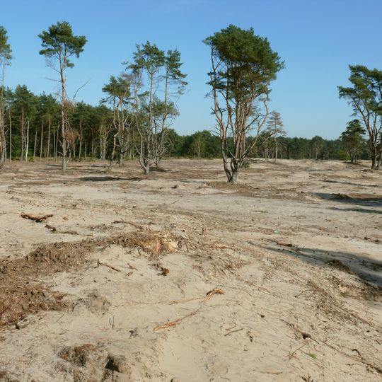Holmer Sandberge und Moorbereiche