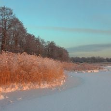 Лесопарк Гагарка