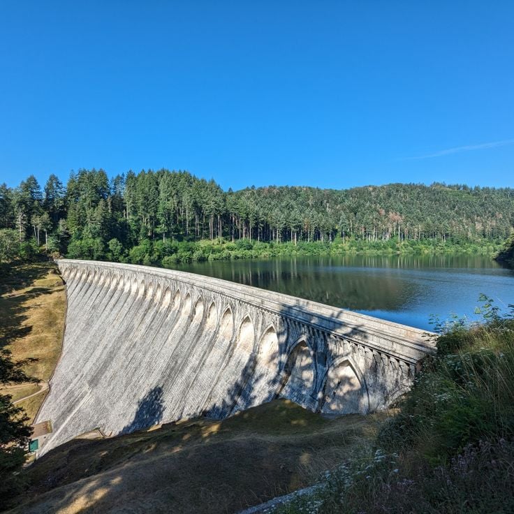 Renaison Dams