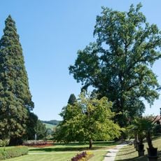 Drei Bäume im Stiftspark Wilhering