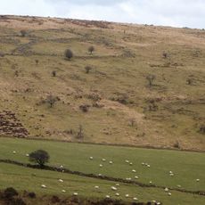 Agglomerated enclosure with hut circles on Corringdon Ball