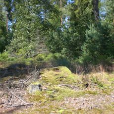 Nature reserve Żurawie Błota