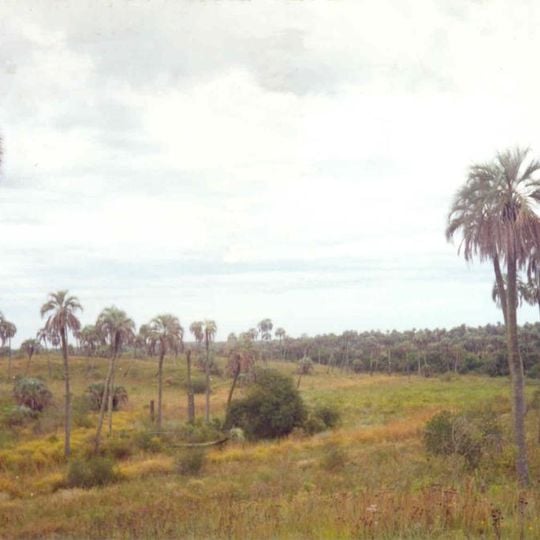 El Palmar National Park