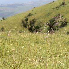 Vernon Crookes Nature Reserve