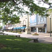 Hickory
