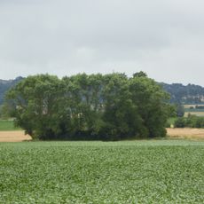 Motte féodale d'Oudezeele