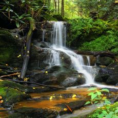 Mason-Dixon Trail