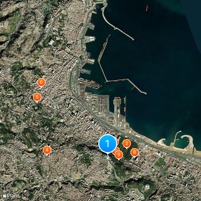 Mémorial du martyr Carte