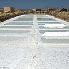 Salinas de Castro Marim