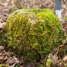 Grenzstein Heilstättenstraße 130 in Zirndorf